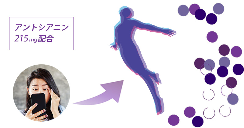 新成分「ageLOC アントシアニン ブレンド」開発により
アントシアニンはデジタルライフ対策から「トータルな生活習慣対策」へ進化